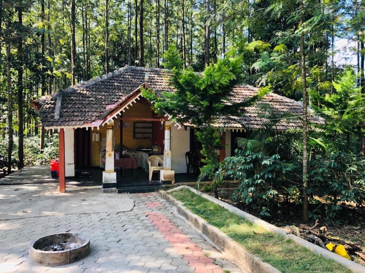 Silver Shadow Homestay Chikmagalūr Zewnętrze zdjęcie